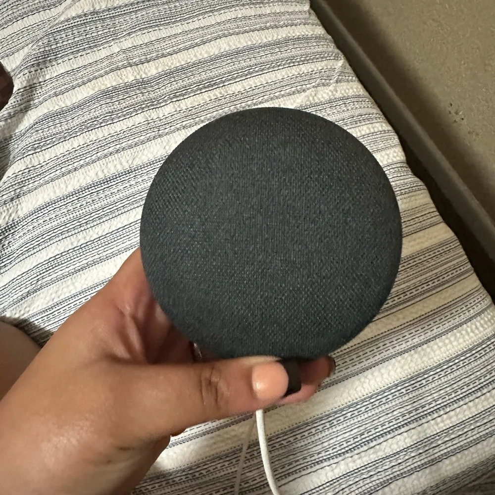 Google Home Mini